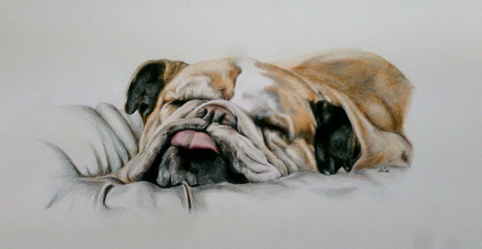 511313288 30487999337480237 3714200454467653919 N